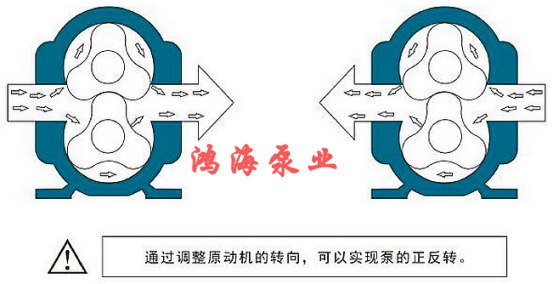 泊頭市鴻海泵業(yè)HTLB凸輪轉(zhuǎn)子泵 / 無堵塞排污泵 / 高粘度轉(zhuǎn)子泵